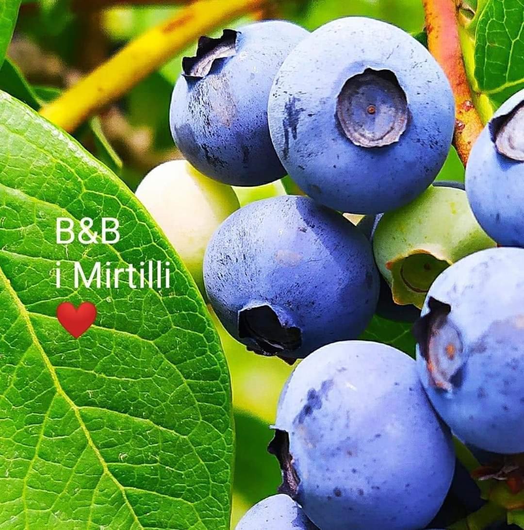 I Mirtilli Pianezze Kültér fotó